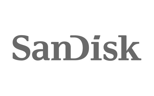 Home Brand Sandisk