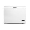 Freezer Horizontal Inverter Gafa FGHI302B-L 316 L — Eficiencia A